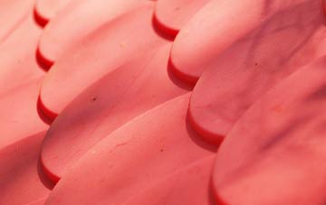 Hail Weston plastic roof costs