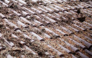 Hail Weston roof cleaning companies