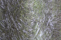 Hail Weston fibreglass roof work